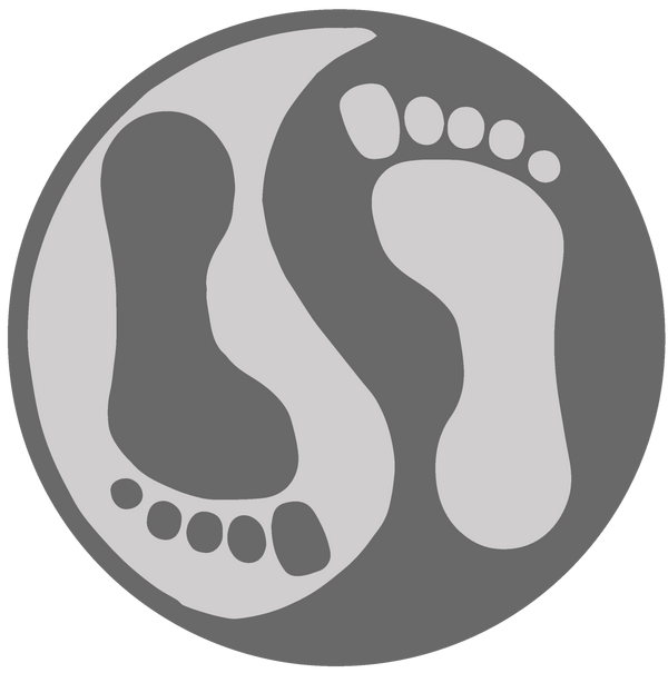 Platinum Detox Systems